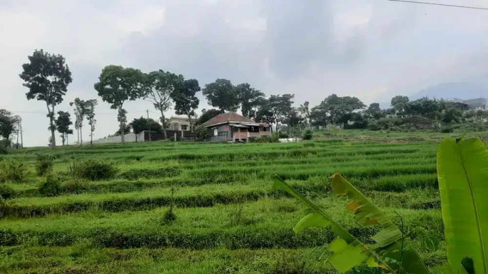 Dijual tanah komersil pinggir jalan propinsi