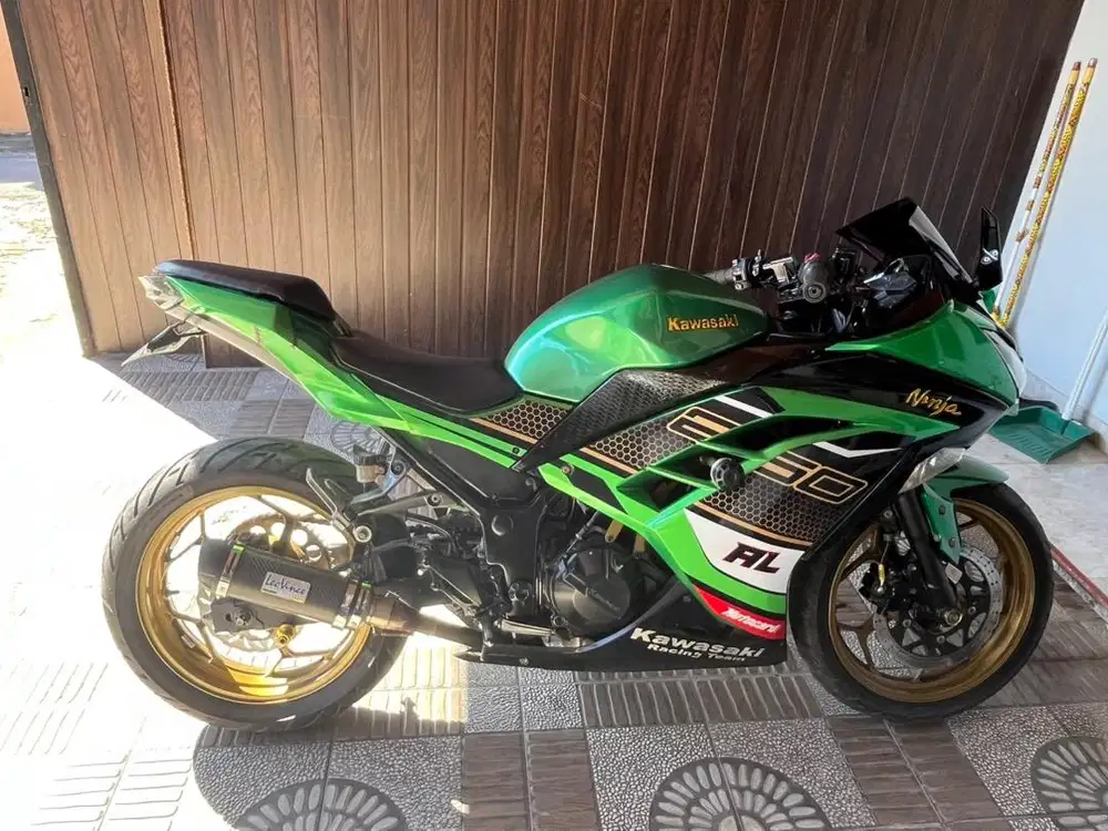 Kawasaki Ninja Fi 250 2014 noken