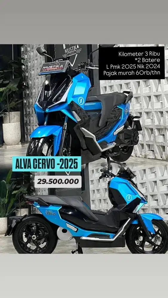 Alva cervo 2025