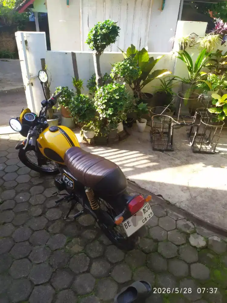 Kawasaki W175 mulus