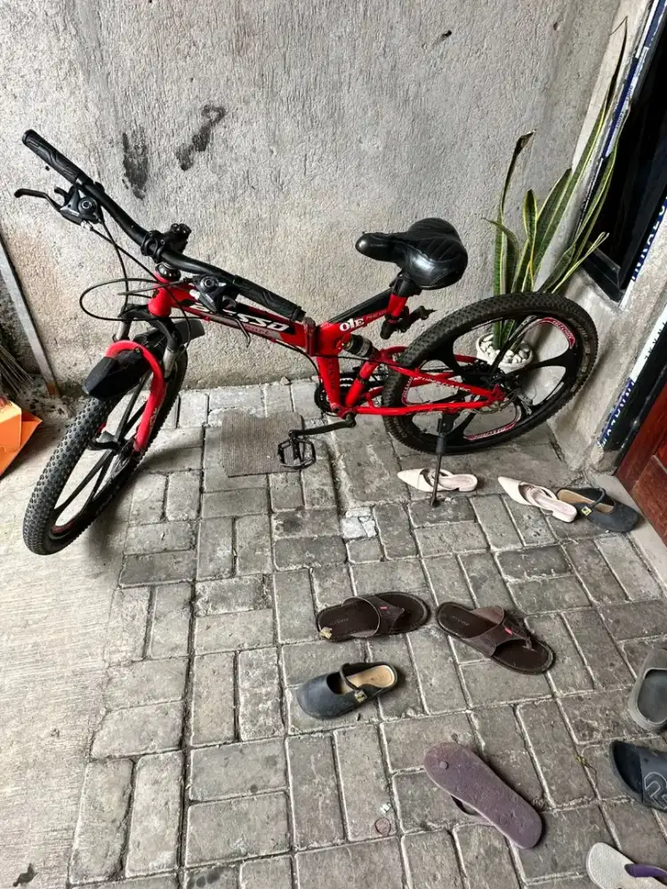 sepeda gunung anak/dewasa