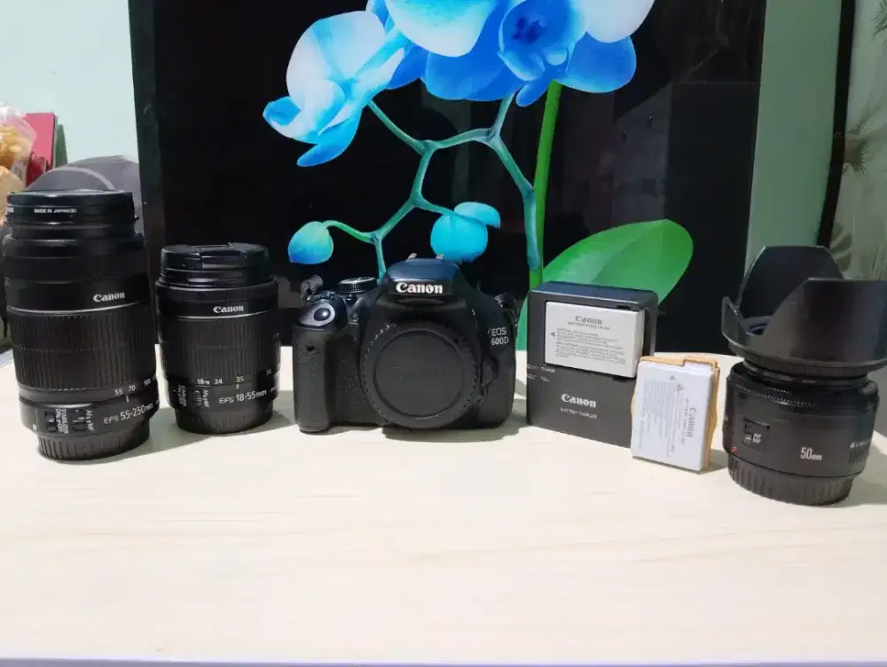 Canon EOS 600 D
