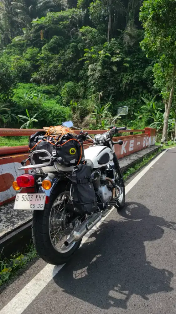 Motor Kawasaki W230