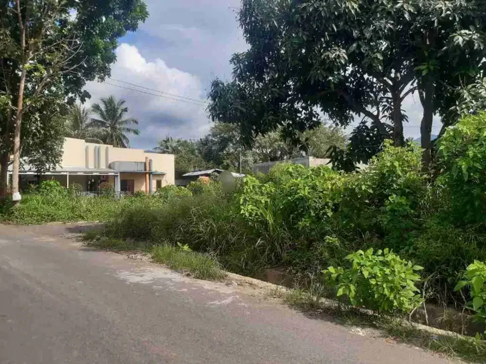 DIJUAL CEPAT TANAH CANTIK DAN MENARIK DAERAH MALALAYANG, HARGA SANGAT MURAH