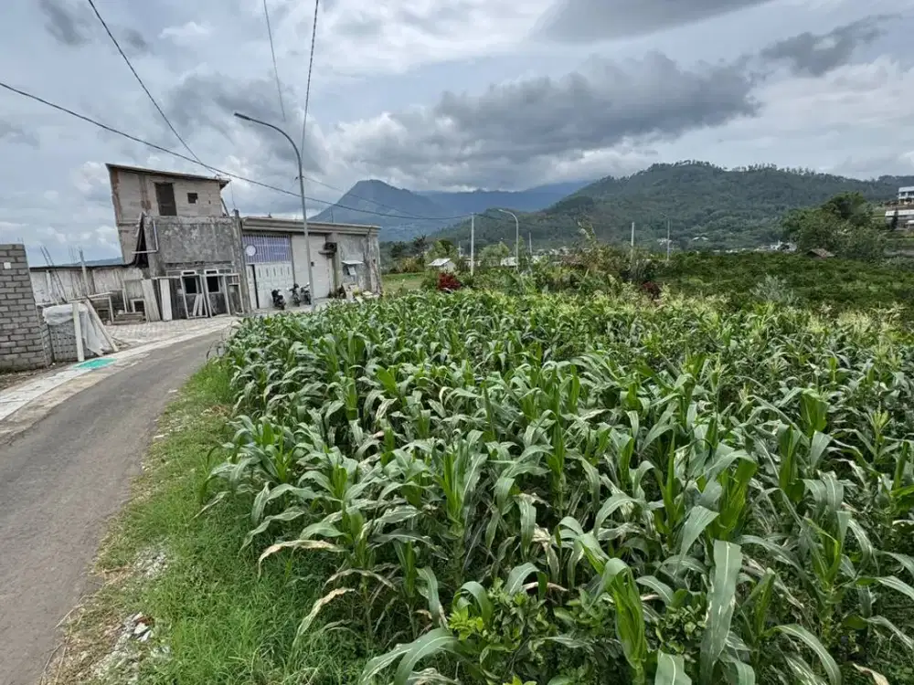 Dijual tanah strategis di kawasan perdesaan asri dengan udara sejuk dataran tinggi Kota Batu. Lokasi nyaman, lahan datar, cocok untuk hunian, villa