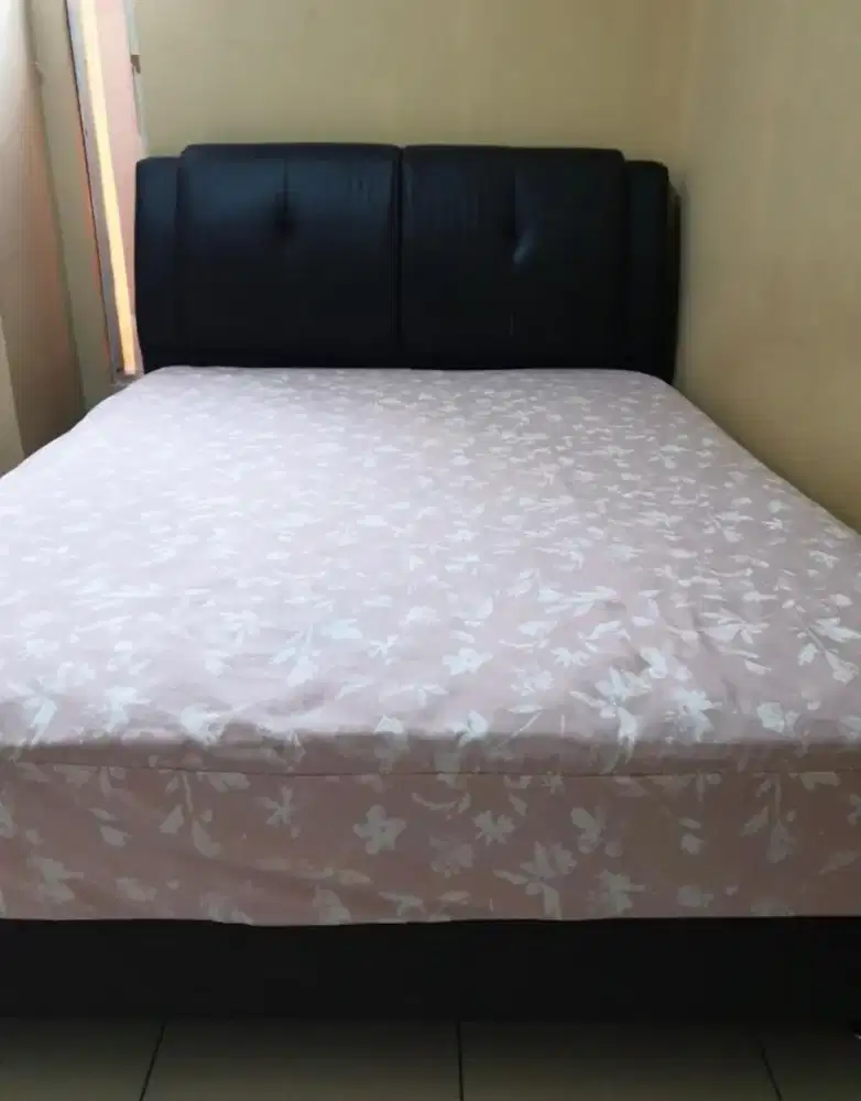 Tempat Tidur Divan King Koil