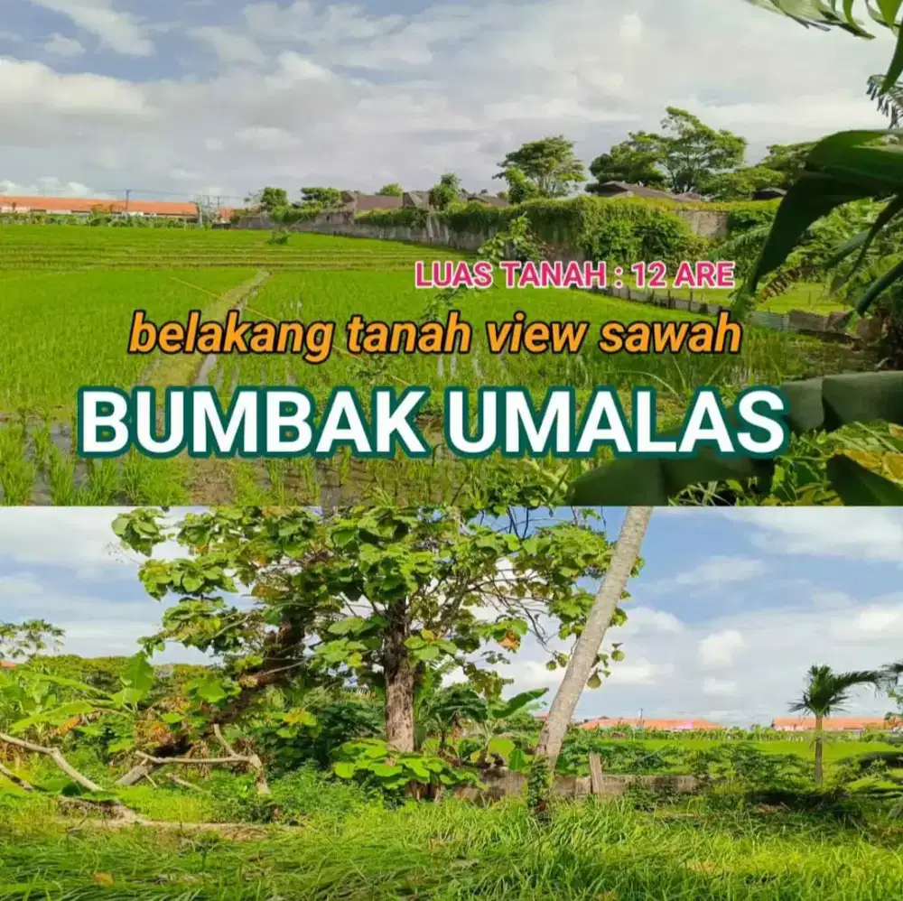 DIJUAL TANAH LANGKA TERMURAH DI KELASNYA UMALAS SEMINYAK KUTA UTARA