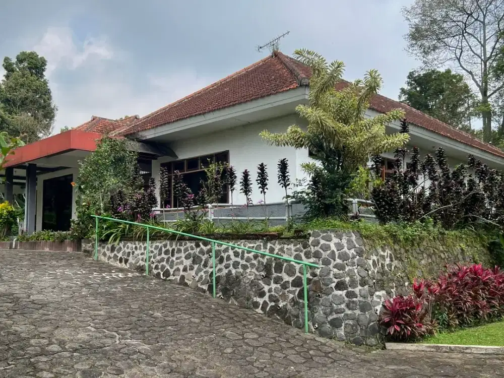 trawas