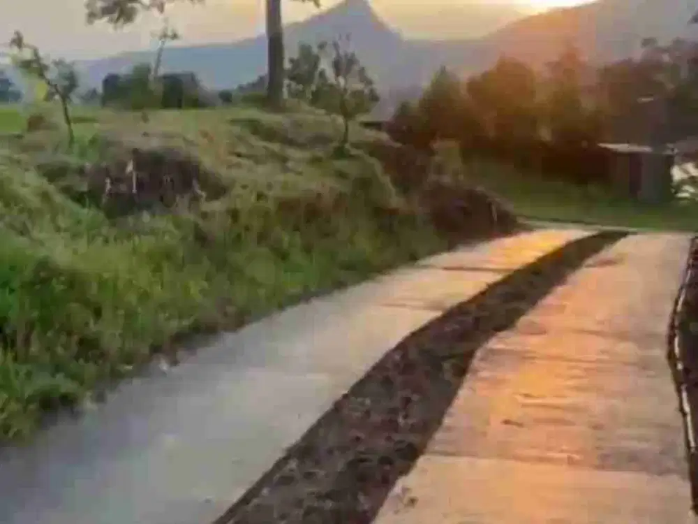Dijual Cepat Villa Kebun 1,5Ha di Sukamakmur Bogor Timur