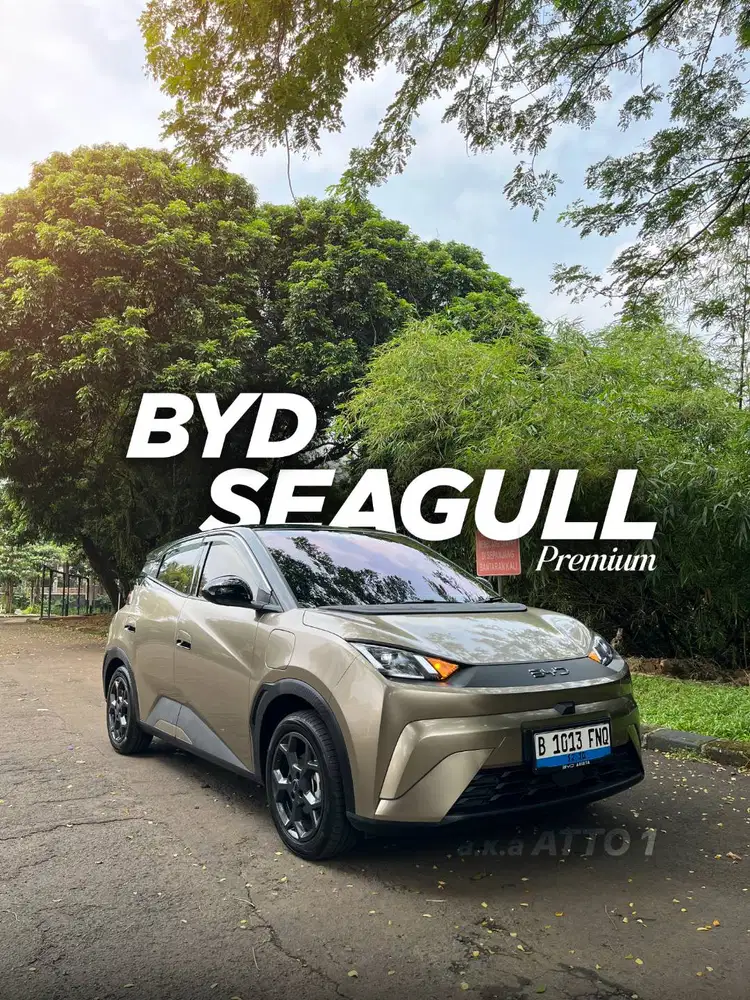 BYD Atto 1 Premium [Perfect Condition]