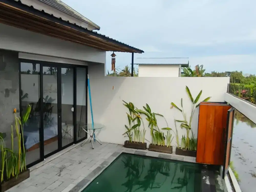 Alam padi villa | 2BR Private Pool Villa in Canggu, Bali