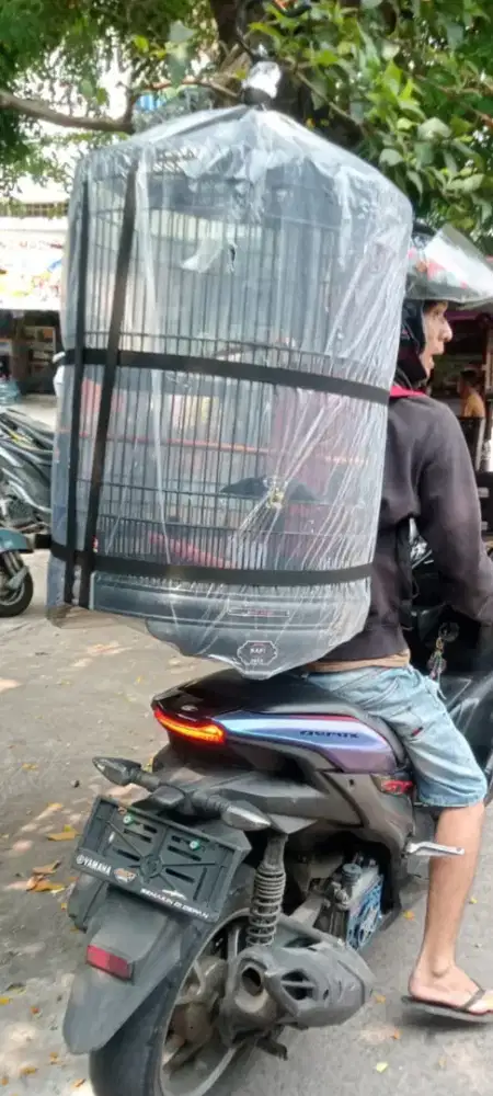 Sangkar burung murai no.2