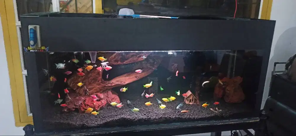 Aquarium full set