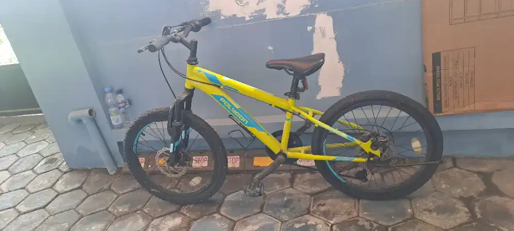 POLYGON sepeda MTB junior Monarch 20