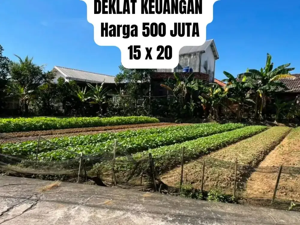 TANAH MURAH LUAS 300 SHM PALEMBANG