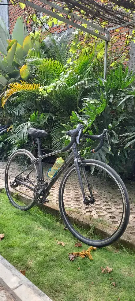 WTS Giant Contend 3 size XS TB 160-170