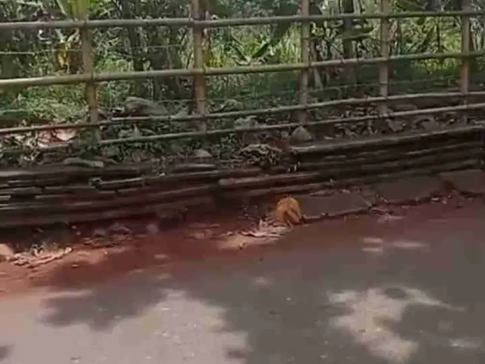 Tanah daratan siap bangun