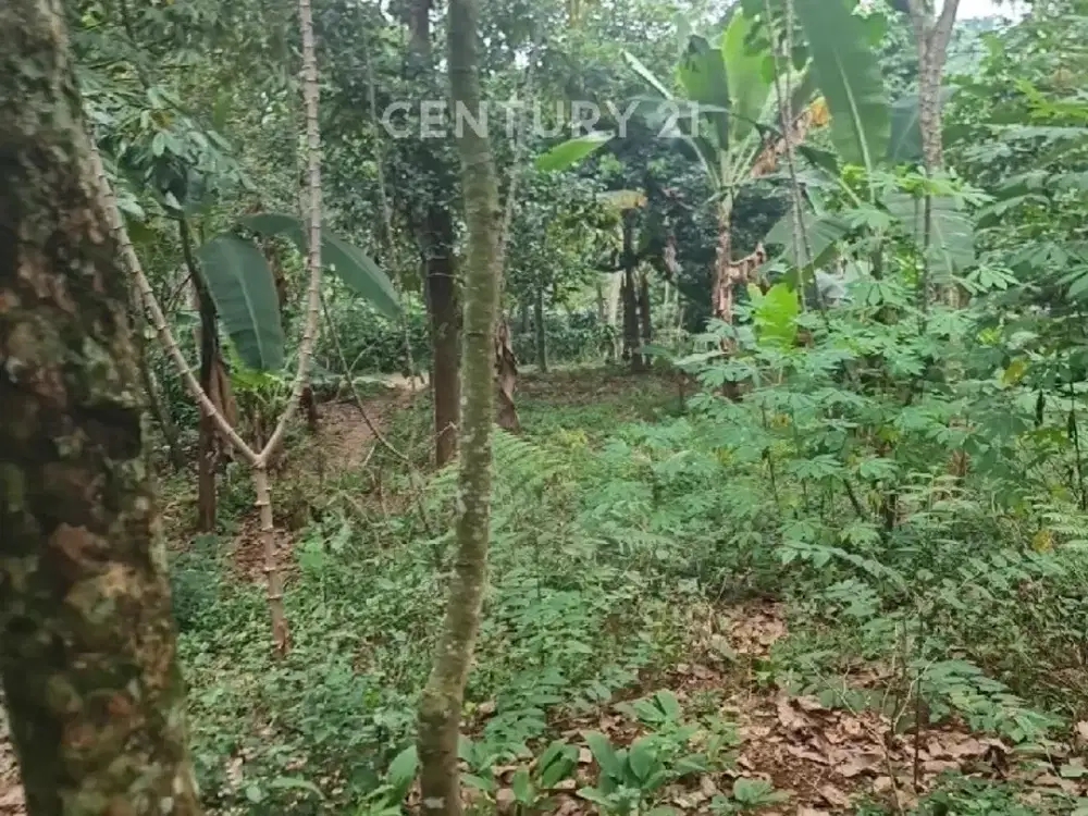 Dijual Tanah Termurah Jonggol Kab Bogor