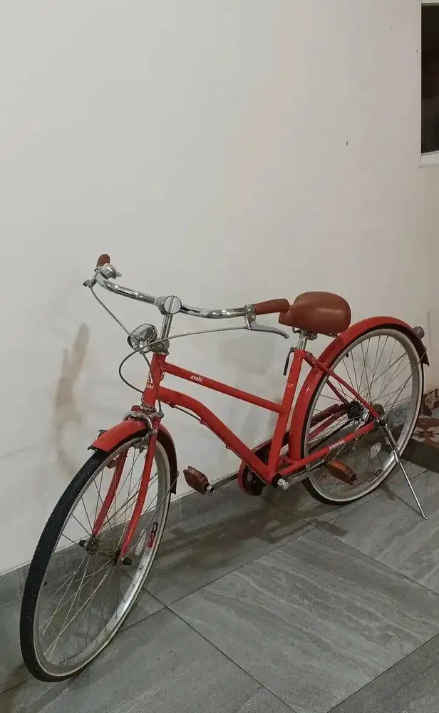 Ashi Bike single speed