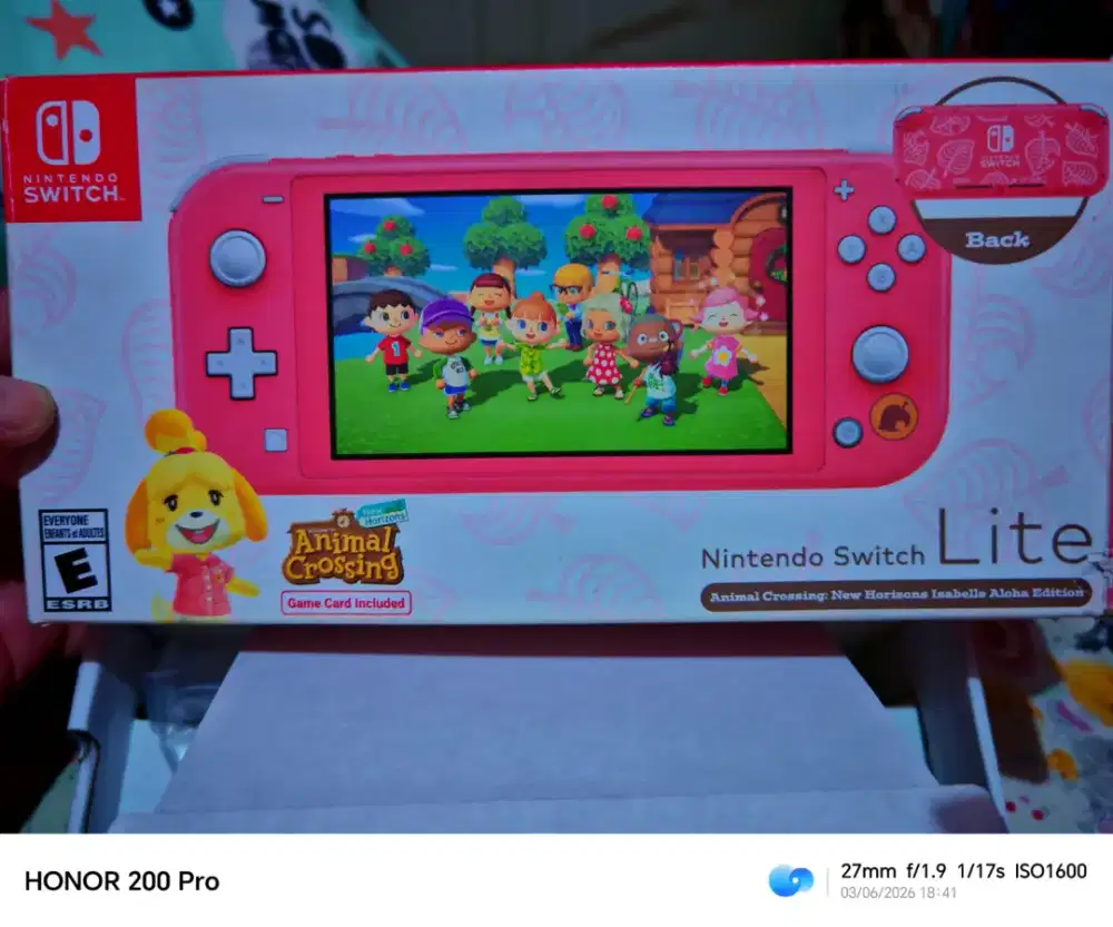 Nintendo switch lite