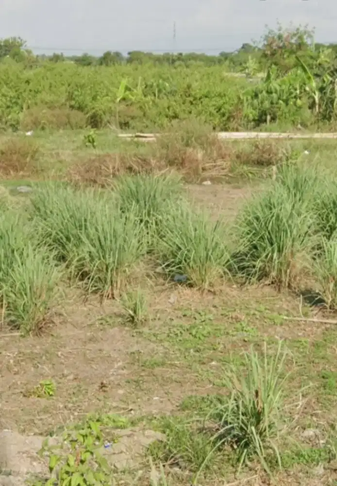 Dijual tanah kavling sertifikat shm