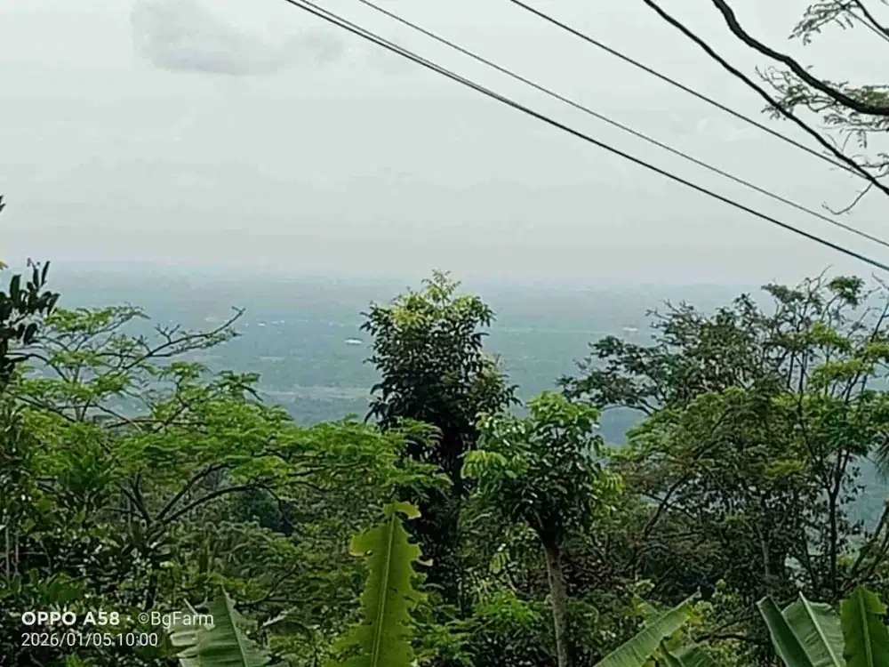 Tanah Murah View Kota Jogja