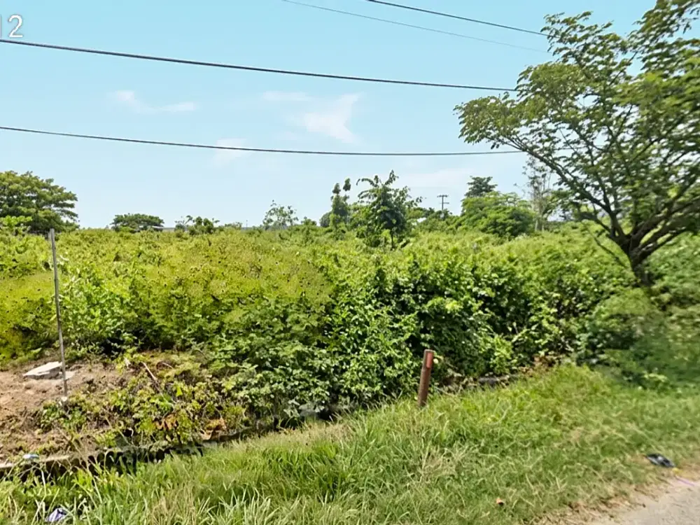 JUAL TANAH PEKARANGAN PINGGIR JALAN RAYA PANTURA - TUBAN BABAT