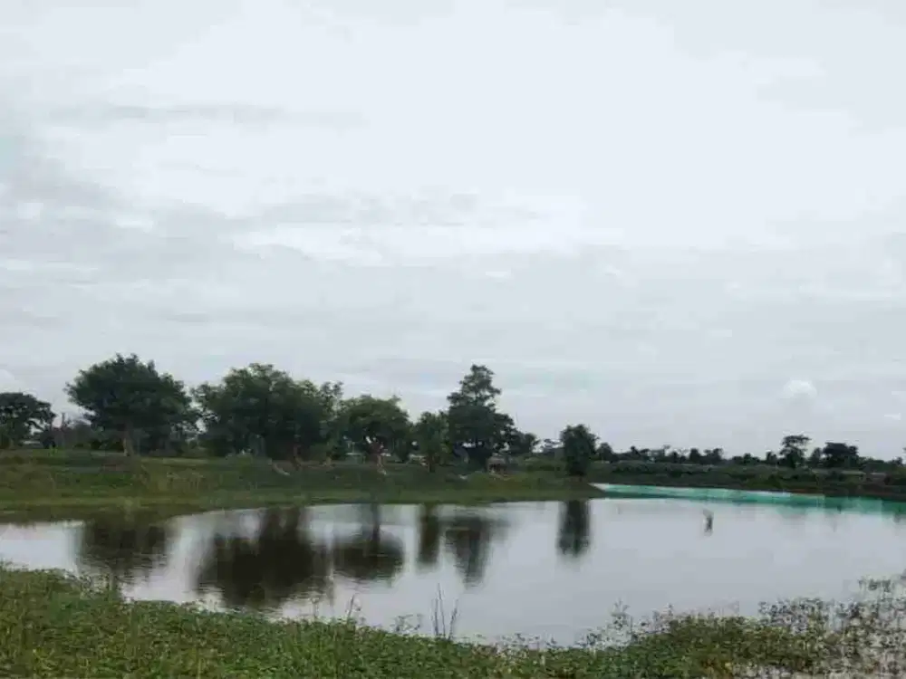 DI JUAL TAMBAK 

KEL. : LUKREJO
KEC. : KALITENGAH 
KAB  : LAMONGAN