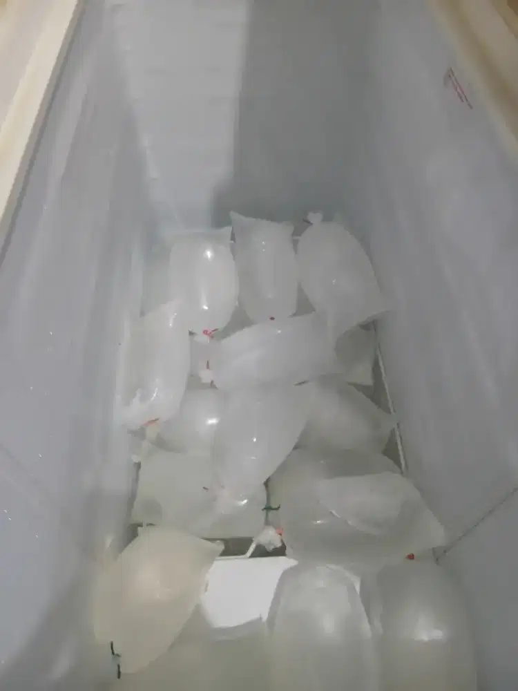 Freezer Box merk Aqua 200 Liter Normal