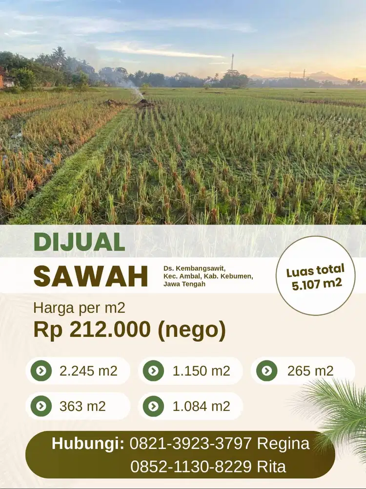 DIJUAL SAWAH – DS. KEMBANGSAWIT, KEC. AMBAL, KAB. KEBUMEN, JAWA TENGAH