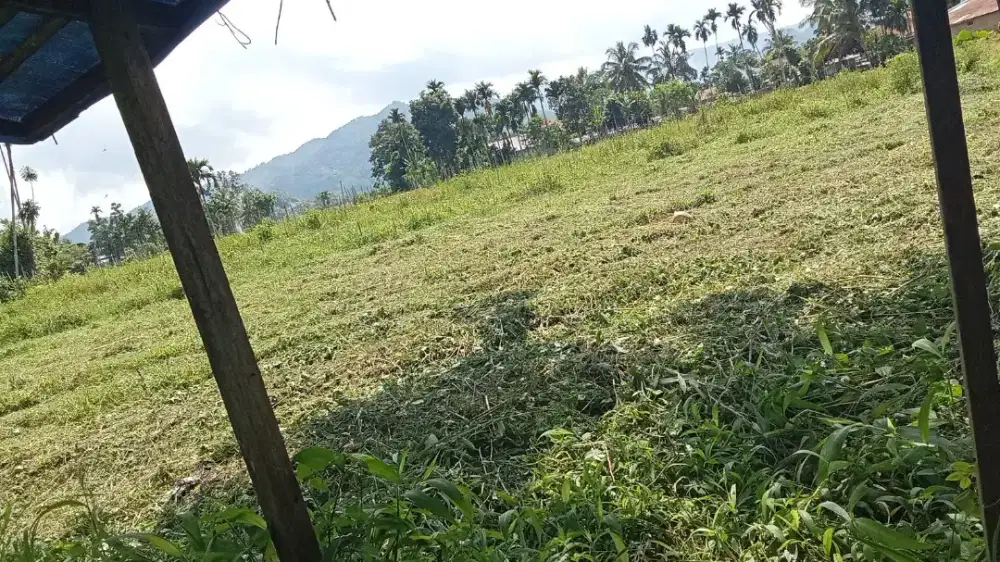 Jasa suruh apa aja