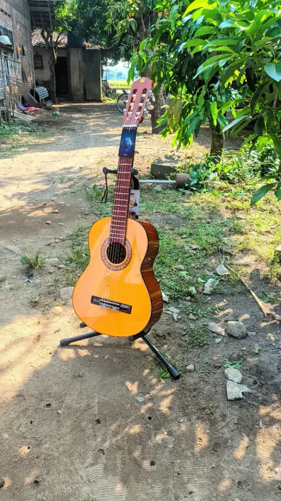 Gitar Akustik Classic 3/4 Yamaha C315 High Quality Baru 
‎