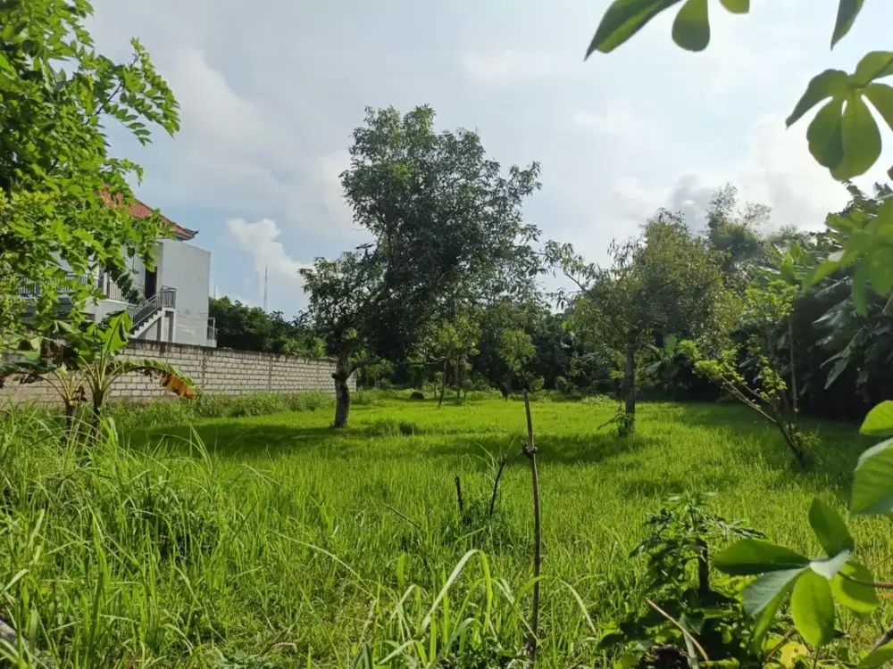 Dijual Lahan Strategis Zona Kuning Dekat Perumahan Beranda Bukit - Siap Kembangkan untuk Perumahan dan Villa