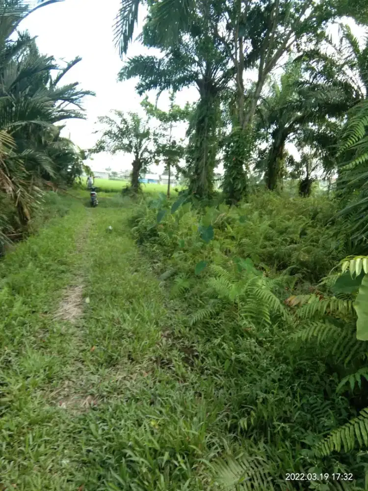 tanah djual  di binjai AR.HAKIm