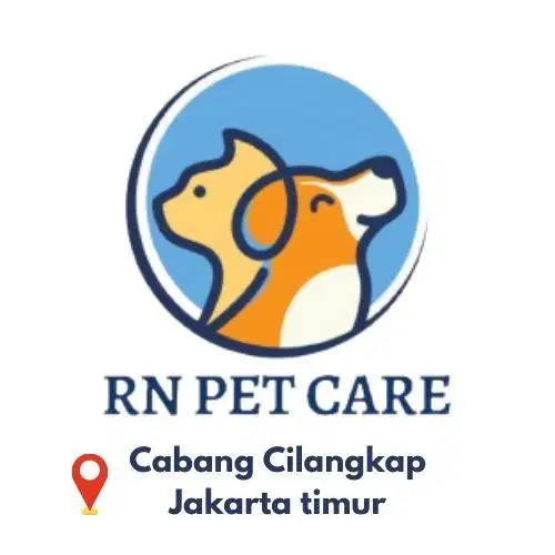 HEAD KASIR RN PET CARE