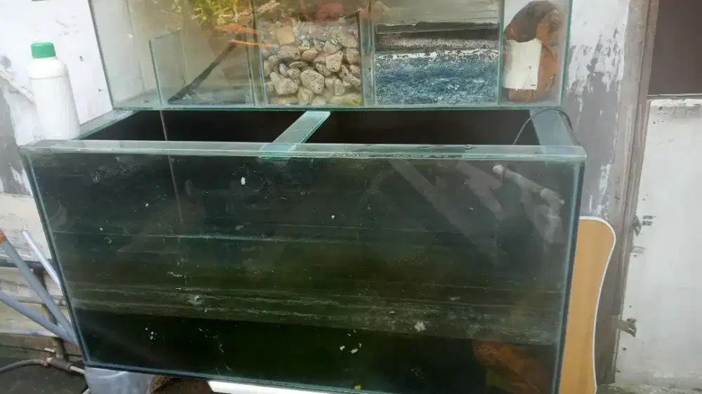 Aquarium Ikan hias