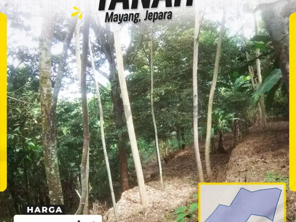 Tanah Kebun Dijual di Mayang Pancur Jepara Kawasan Agrowisata