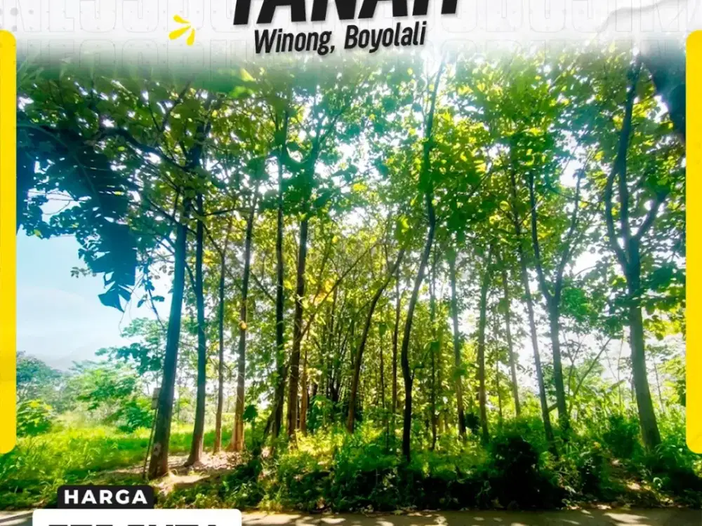 Tanah Kebun Jati Dijual di Winong Boyolali Luas 720m² Bonus 80 Pohon Jati
