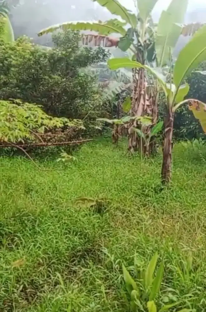Jual Tanah Daerah Parung Panjang