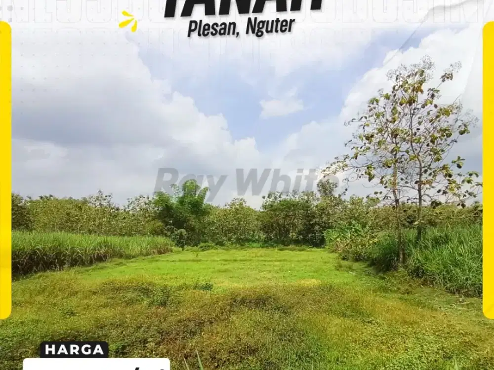 Lahan Masif Dijual di Plesan Nguter Sukoharjo Luas 6615m² Lebar Depan 50m