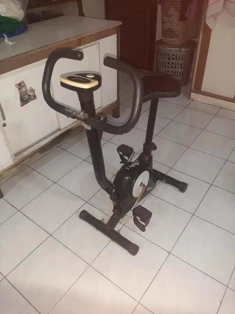 Sepeda Treadmill BG Bike