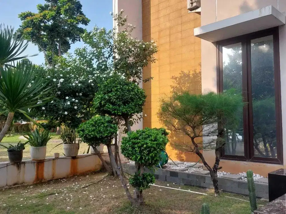 Di sewakan rumah murah daerah asia tropis harapan indah
