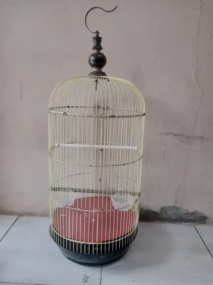 sangkar burung Lovebird