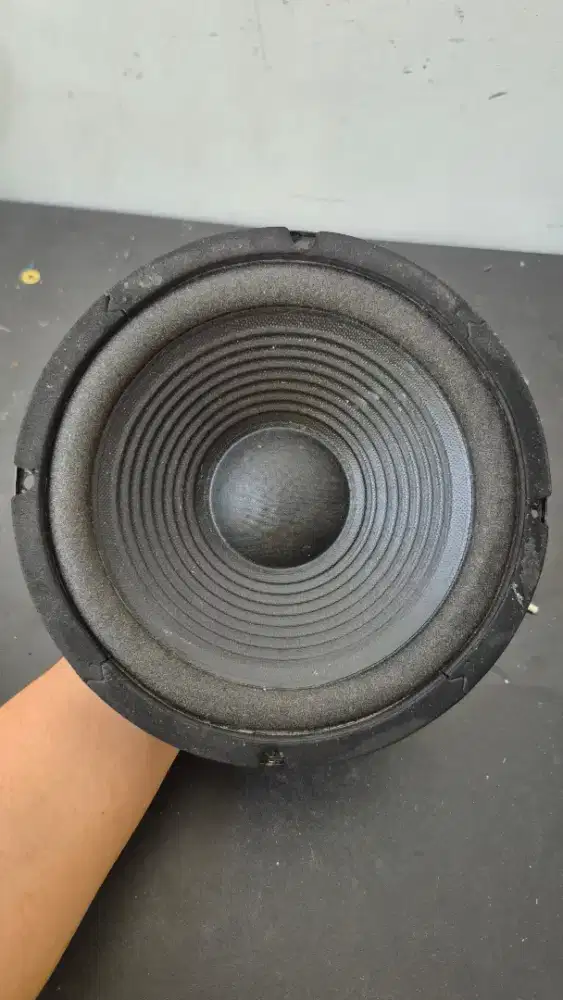 Woofer 8 inch ACR
