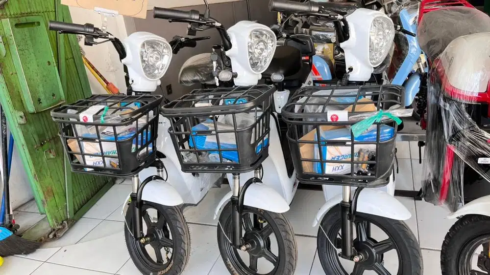 SEPEDA LISTRIK RUBICK RAVENA RM 2