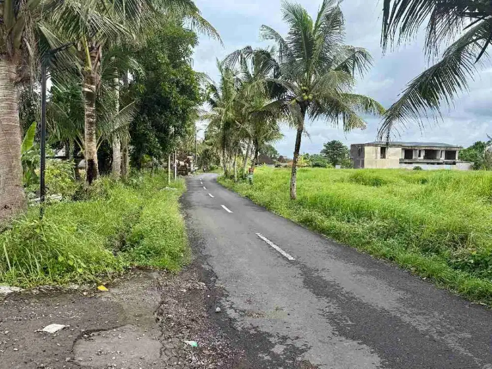 Di jual Lahan kecil zona kuning siap bangun di Lod tunduh Ubud