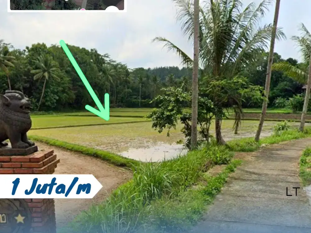 Dijual Tanah Sawah di Bogowanti, Kidul Borobudur