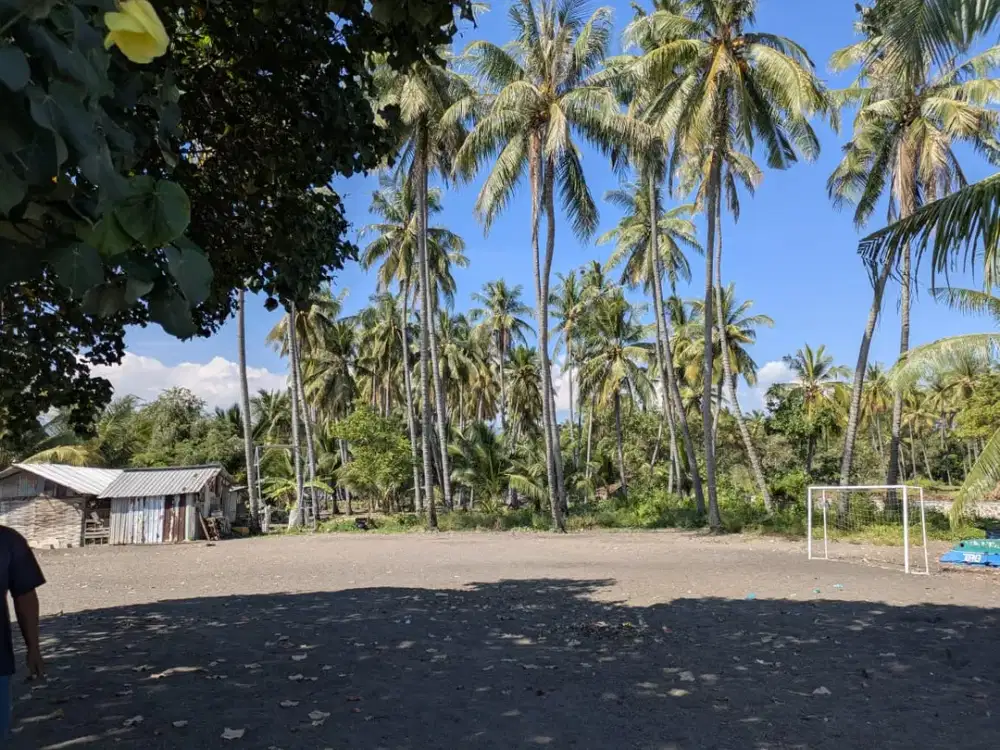 Tanah Luas dan Strategis di Kawasan Tanjung, Lombok Barat Dekat dengan Pasar Tanjung