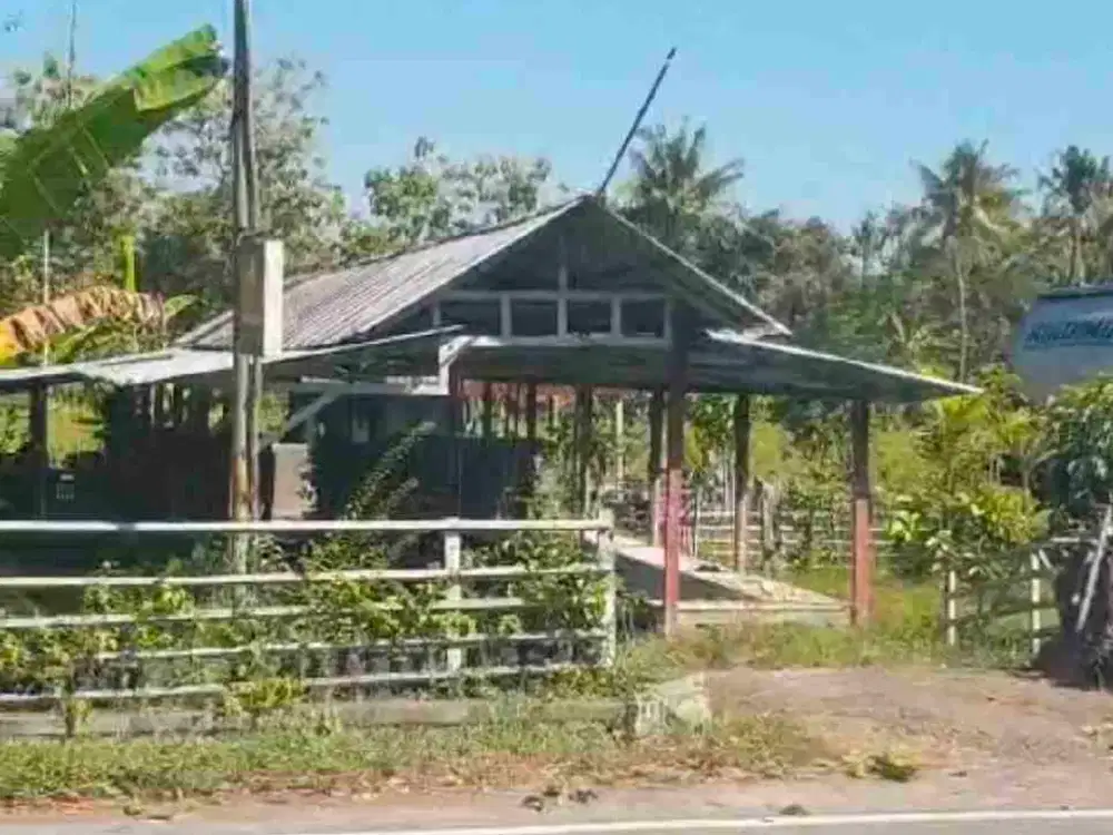 Tanah Premium Pinggir Jalan Utama Pelabuhan Celukan Bawang Gerogak