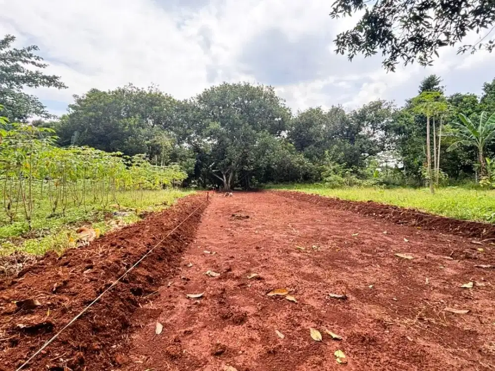 Tanah Murah Setu Bekasi,5 Menit Taman Sari forest